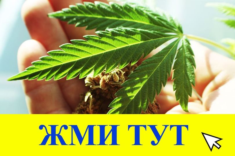 Купить наркотики в Челябинске